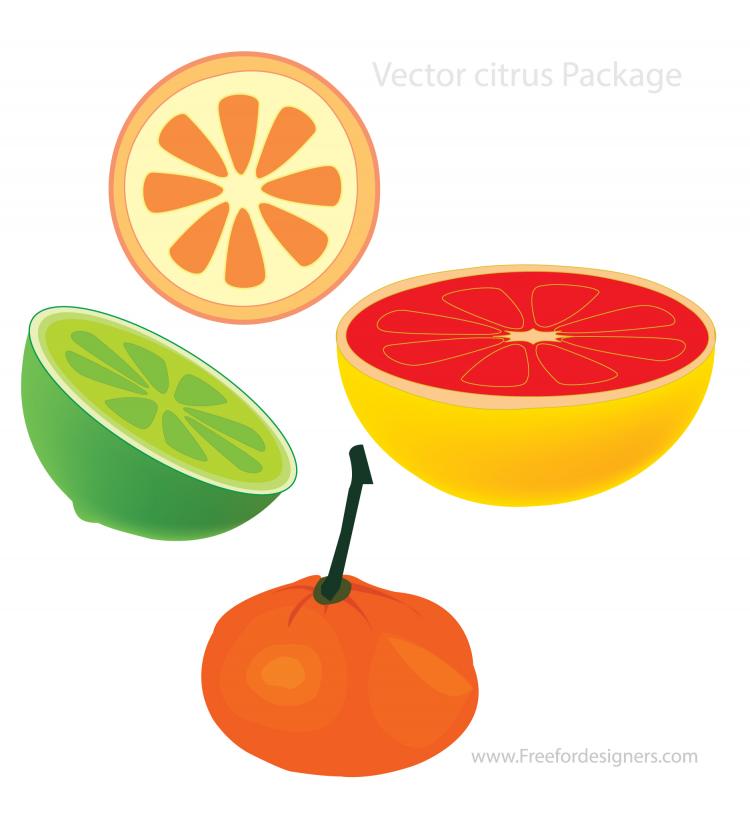 free vector Vector Citrus Package